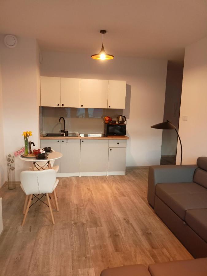 ラドムApartament Z Sauna I Jacuzziアパートメント エクステリア 写真